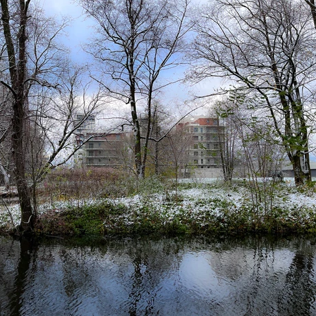 Zima 2023. Pierwszy śnieg w Rzeszowie [Park im. Szafera] - fot 19